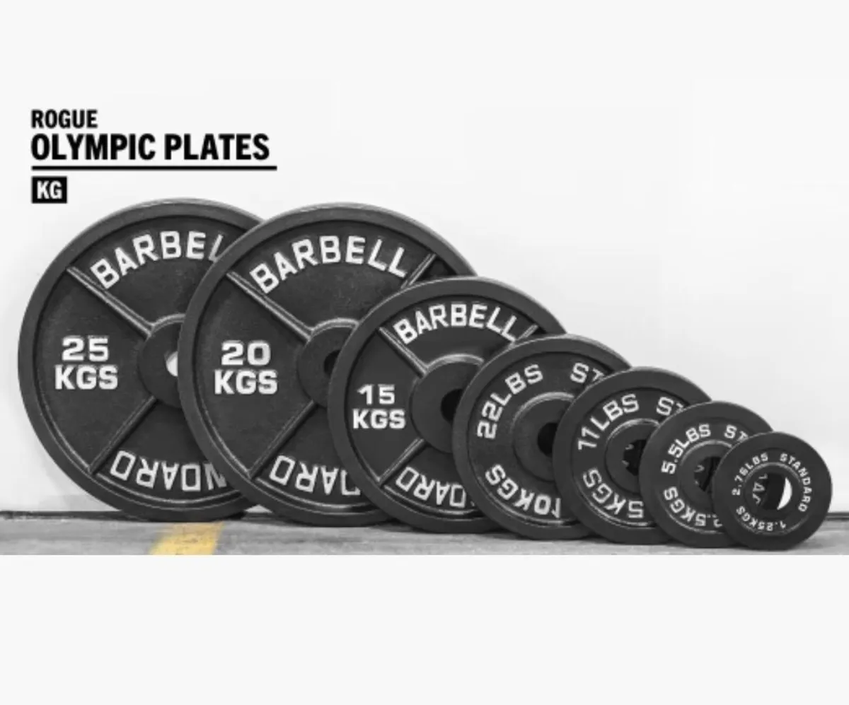 Gym equipment rogue steel plates - Image 2