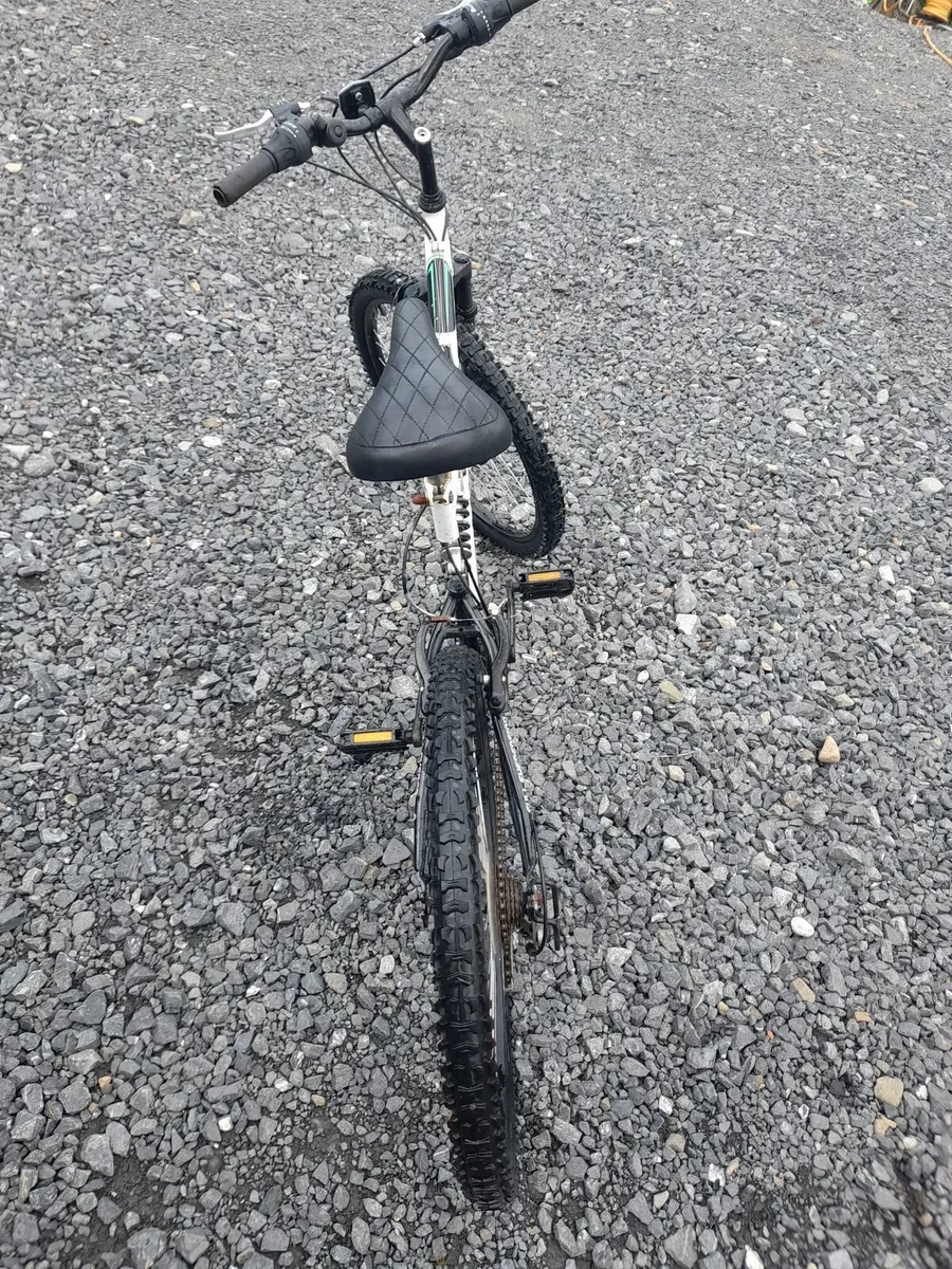Adult Mountain Bike - Image 2