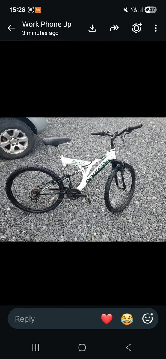 Adult Mountain Bike - Image 1