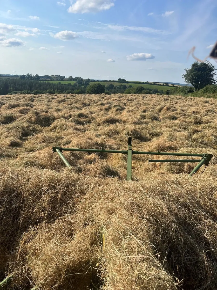 Hay Organic Hay - Image 4