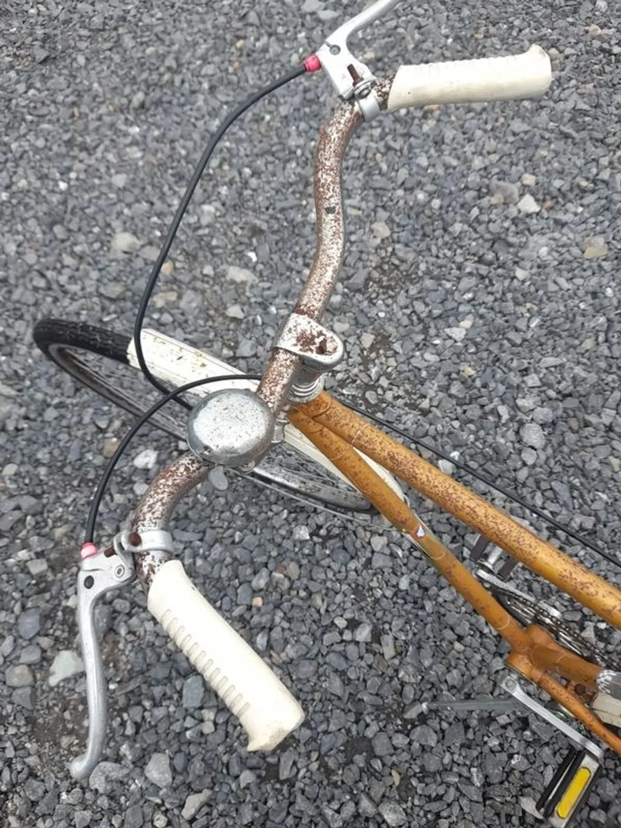 Vintage Eska Bike - Image 3