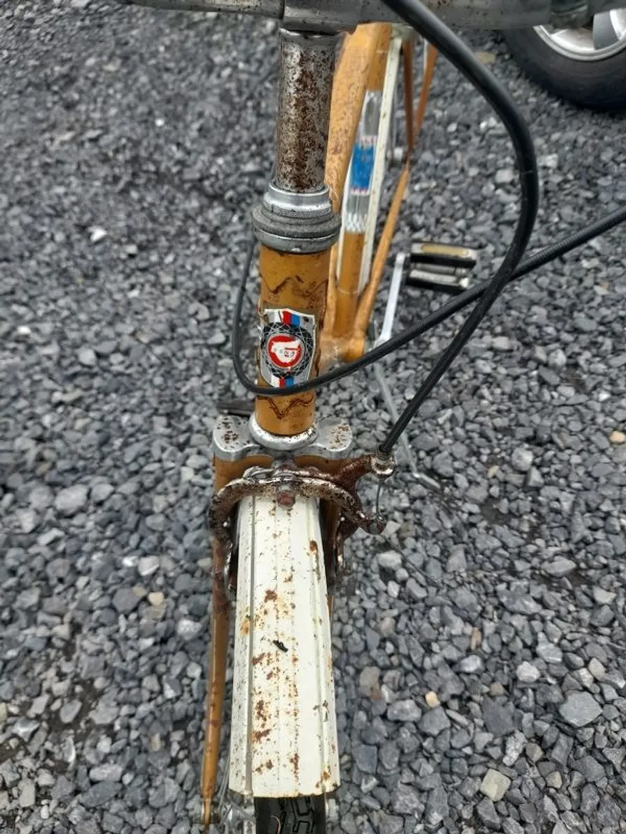 Vintage Eska Bike - Image 4