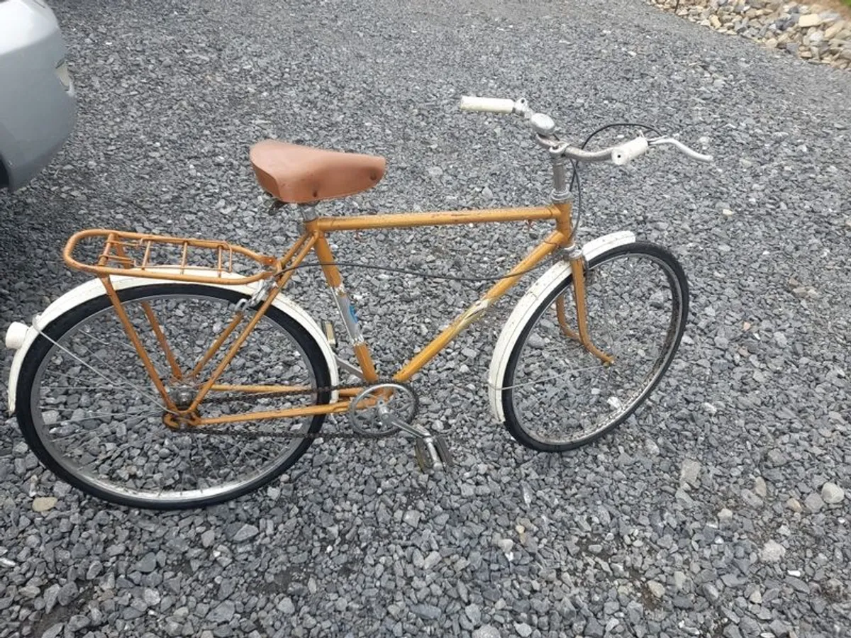 Vintage Eska Bike - Image 1