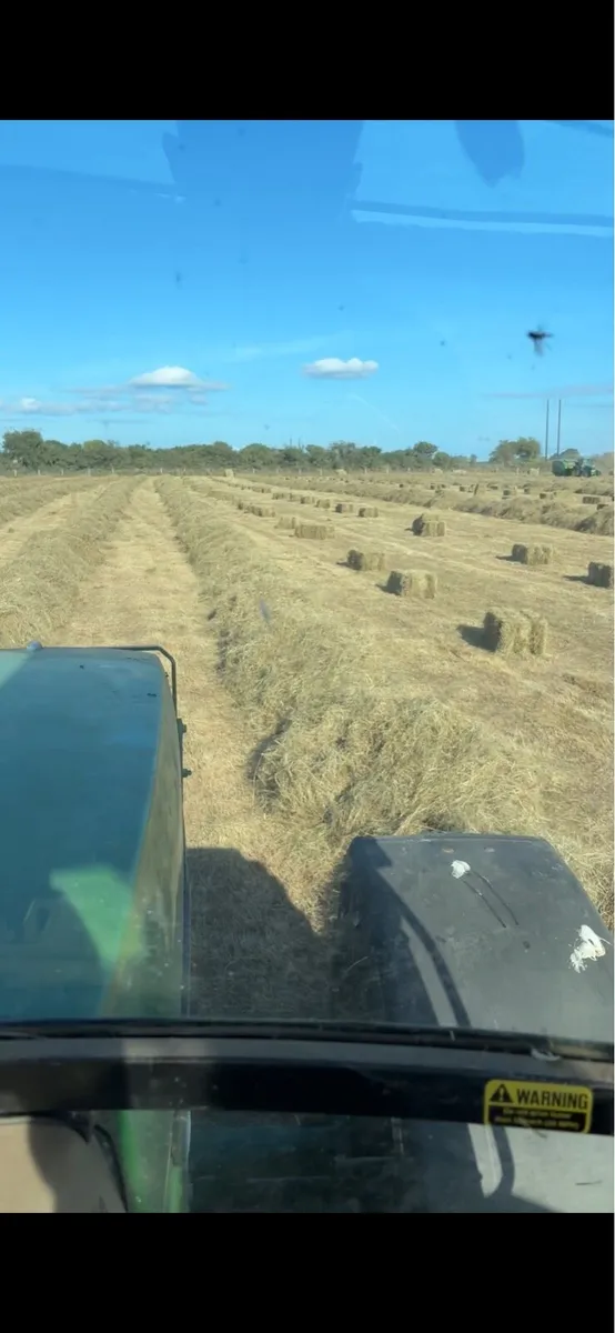 Small Square bales of hay