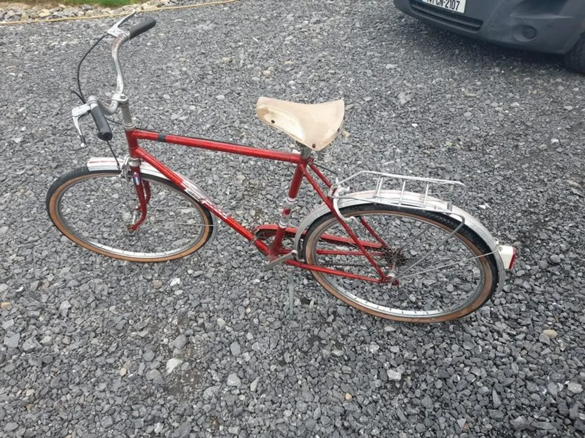 Vintage Eska Bike - Image 3