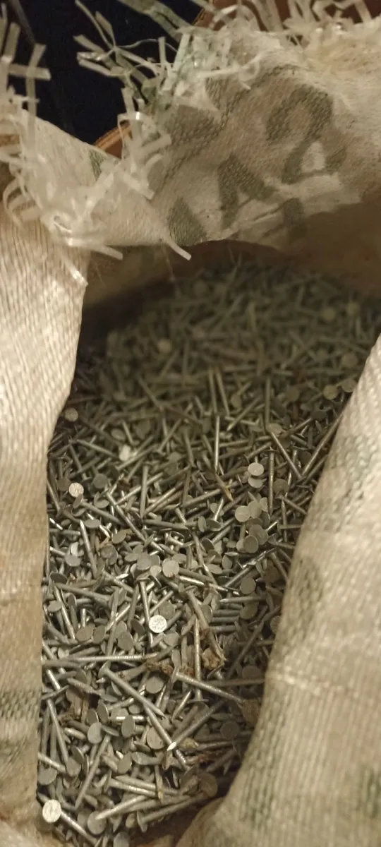 Large Bag of Galvanised Nails - Image 4