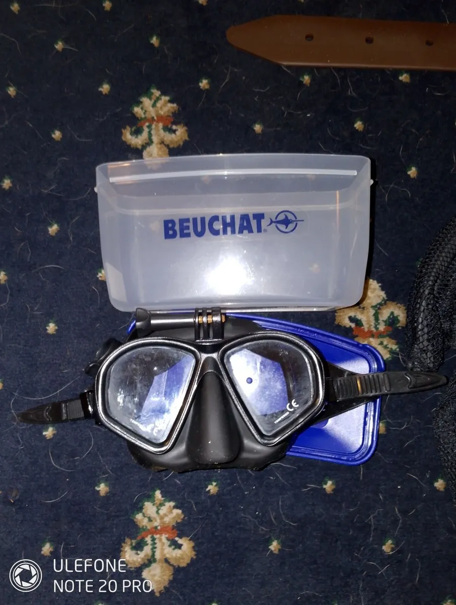 Spearfishing - Image 3