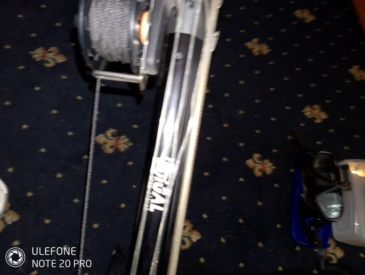 Spearfishing - Image 4