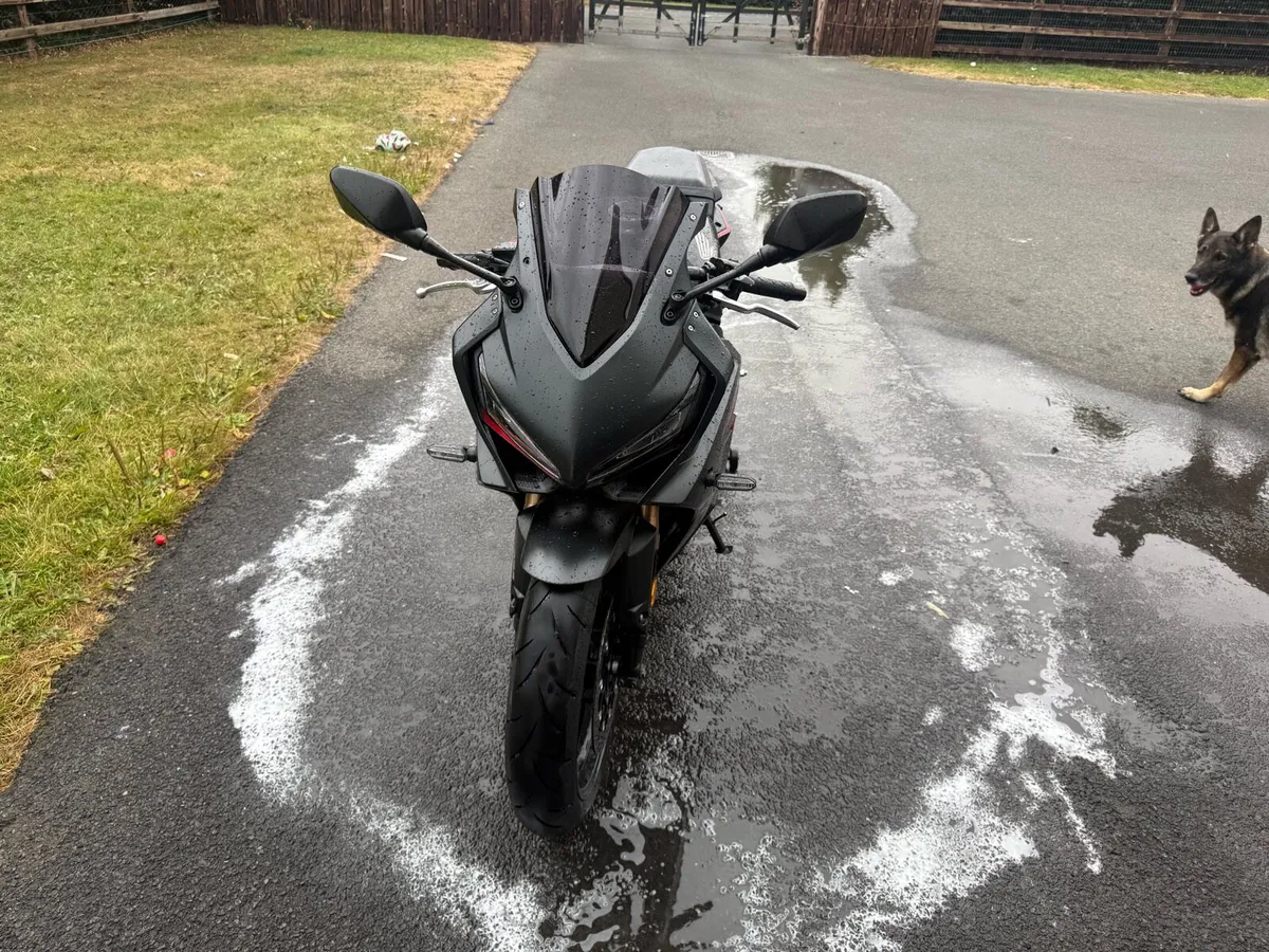 Honda cbr650r - Image 2