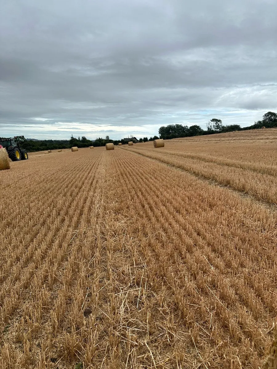 Wheaten straw 4x4