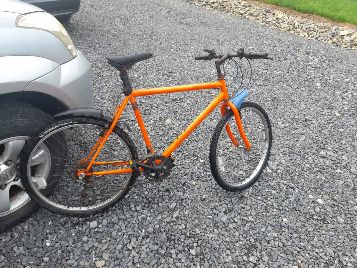 Adult Mountain Bike - Image 1