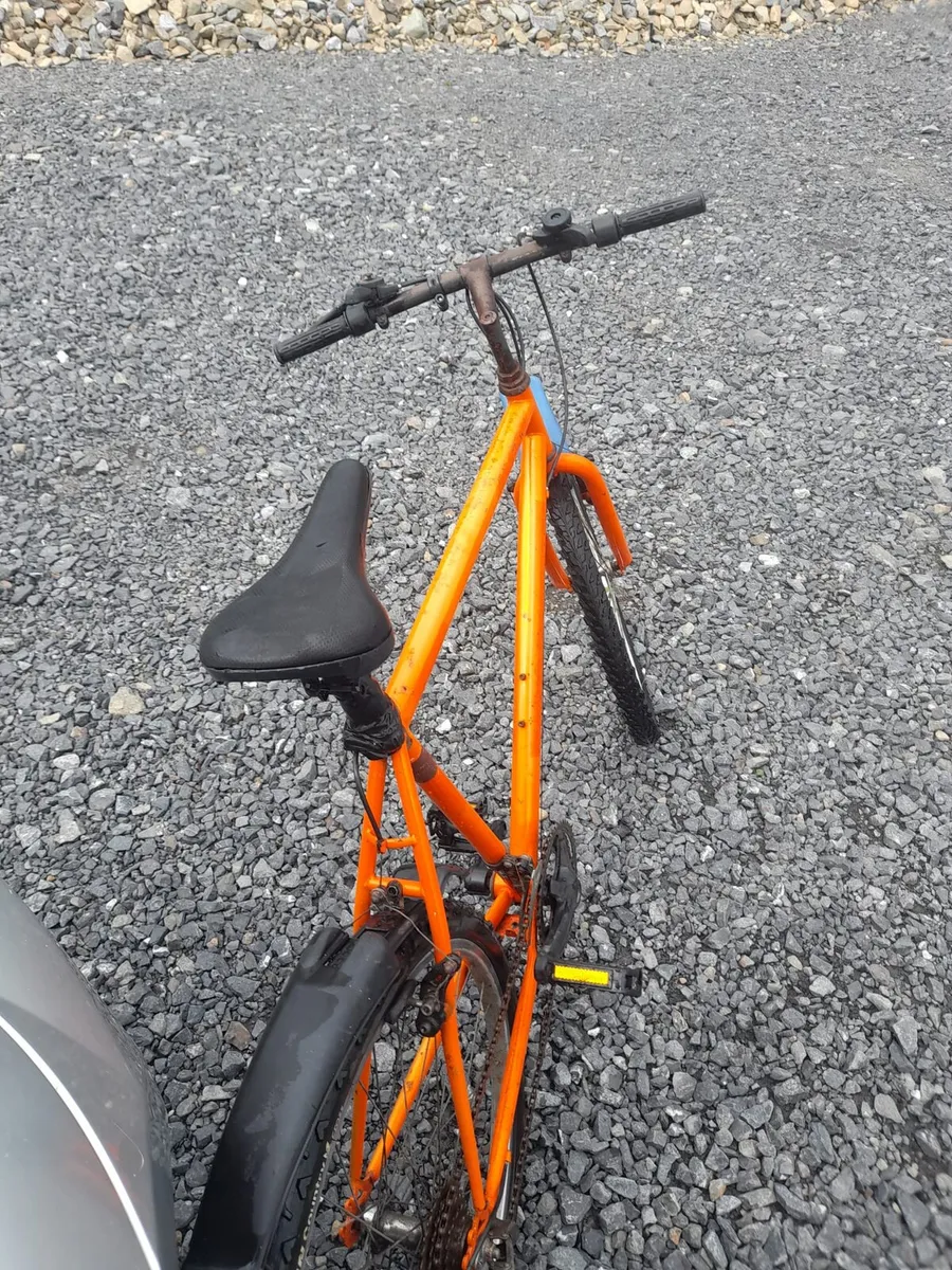 Adult Mountain Bike - Image 2