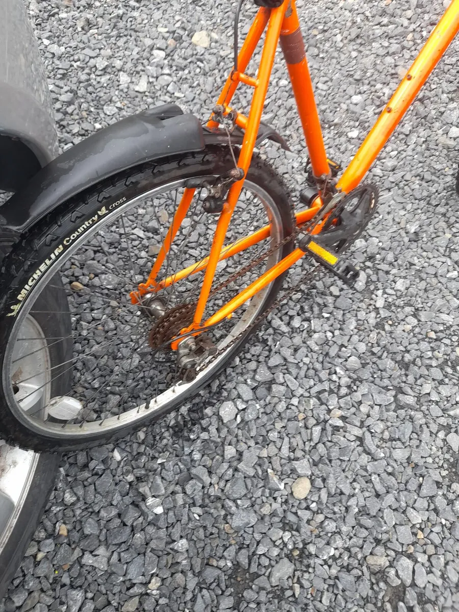 Adult Mountain Bike - Image 3