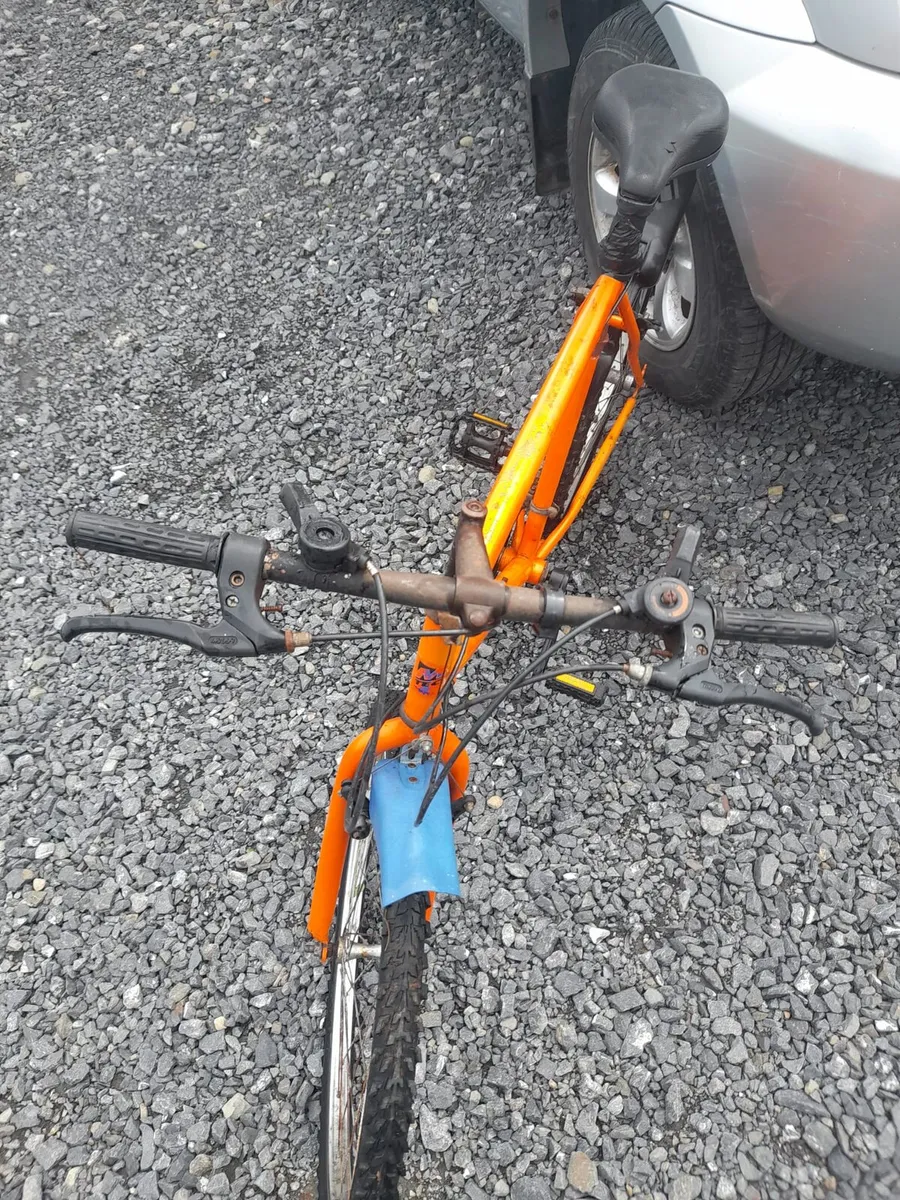Adult Mountain Bike - Image 4