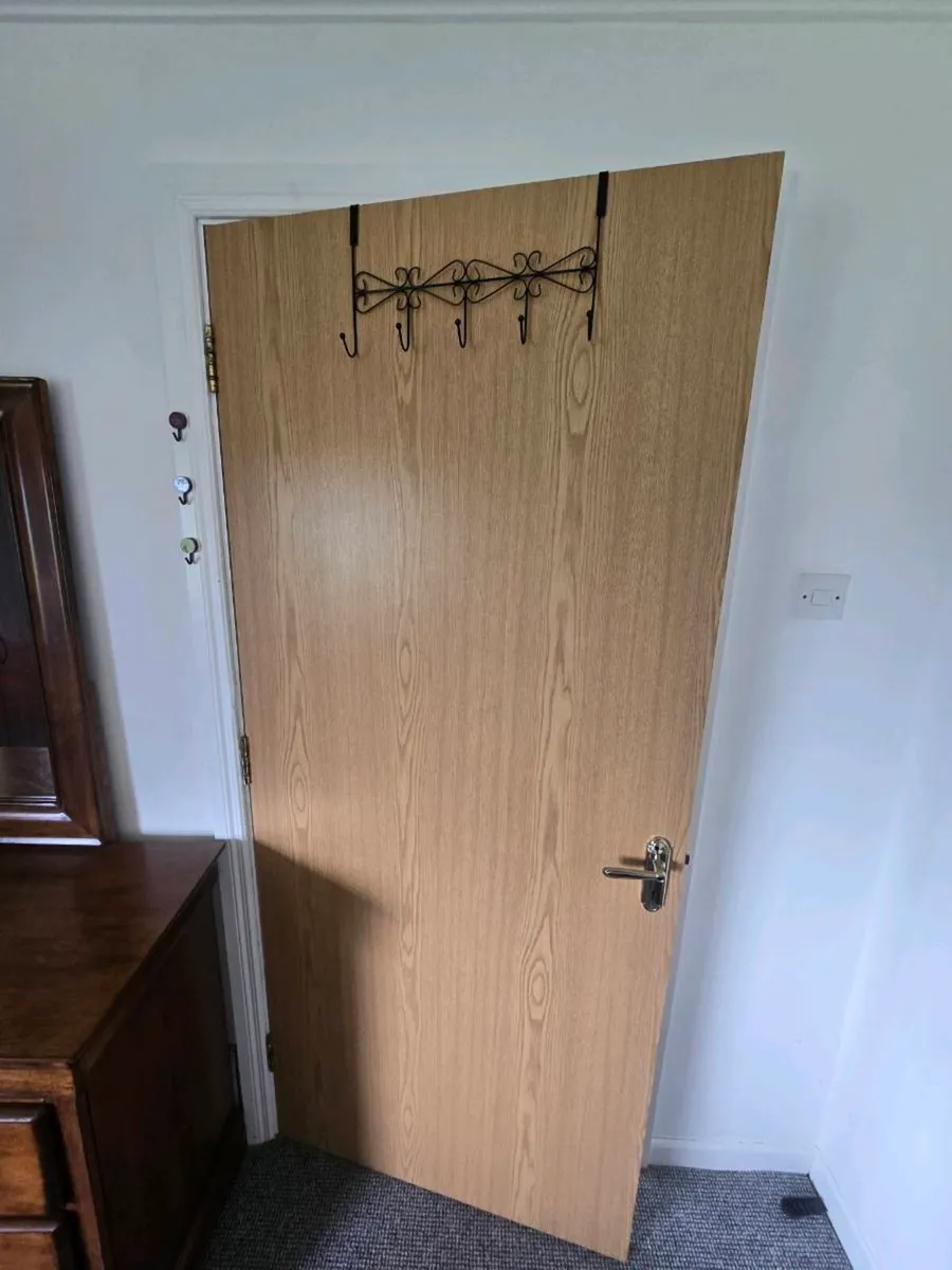 3 fire doors - Image 4