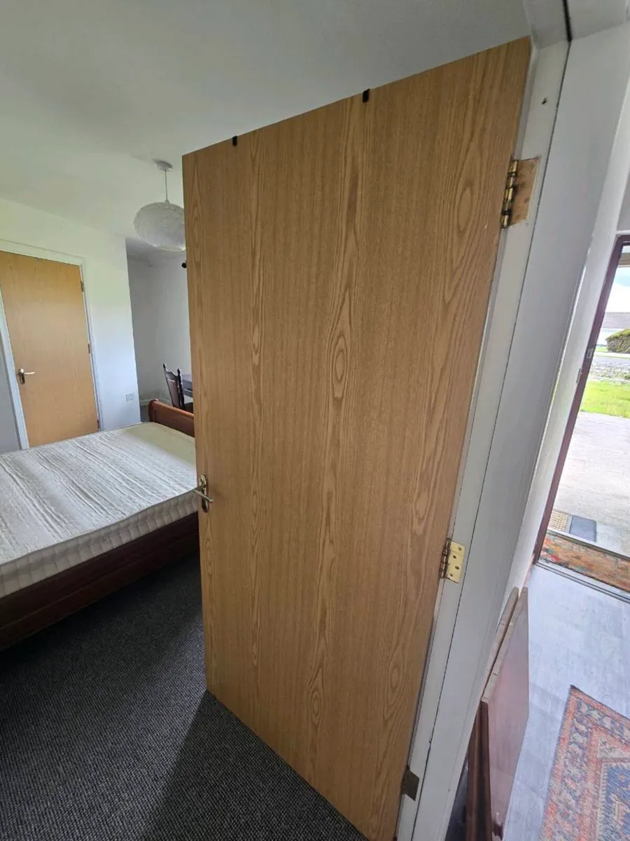 3 fire doors - Image 3