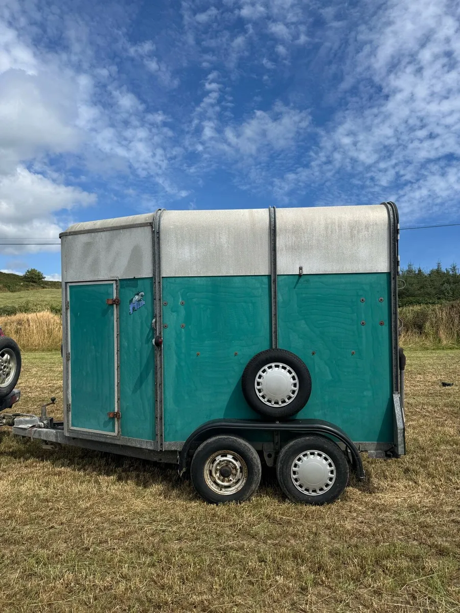 Ifor Williams 505 horsebox - Image 2