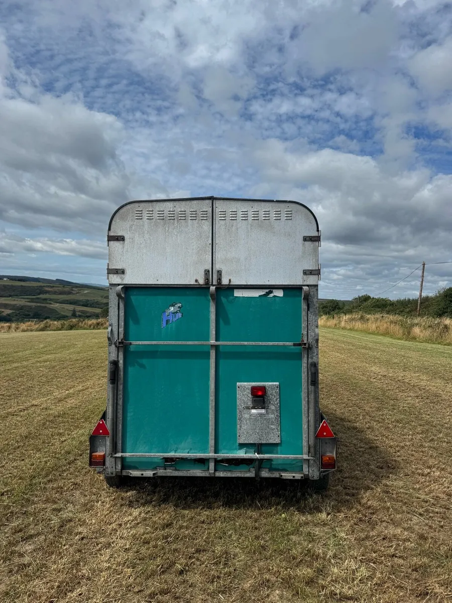 Ifor Williams 505 horsebox - Image 3