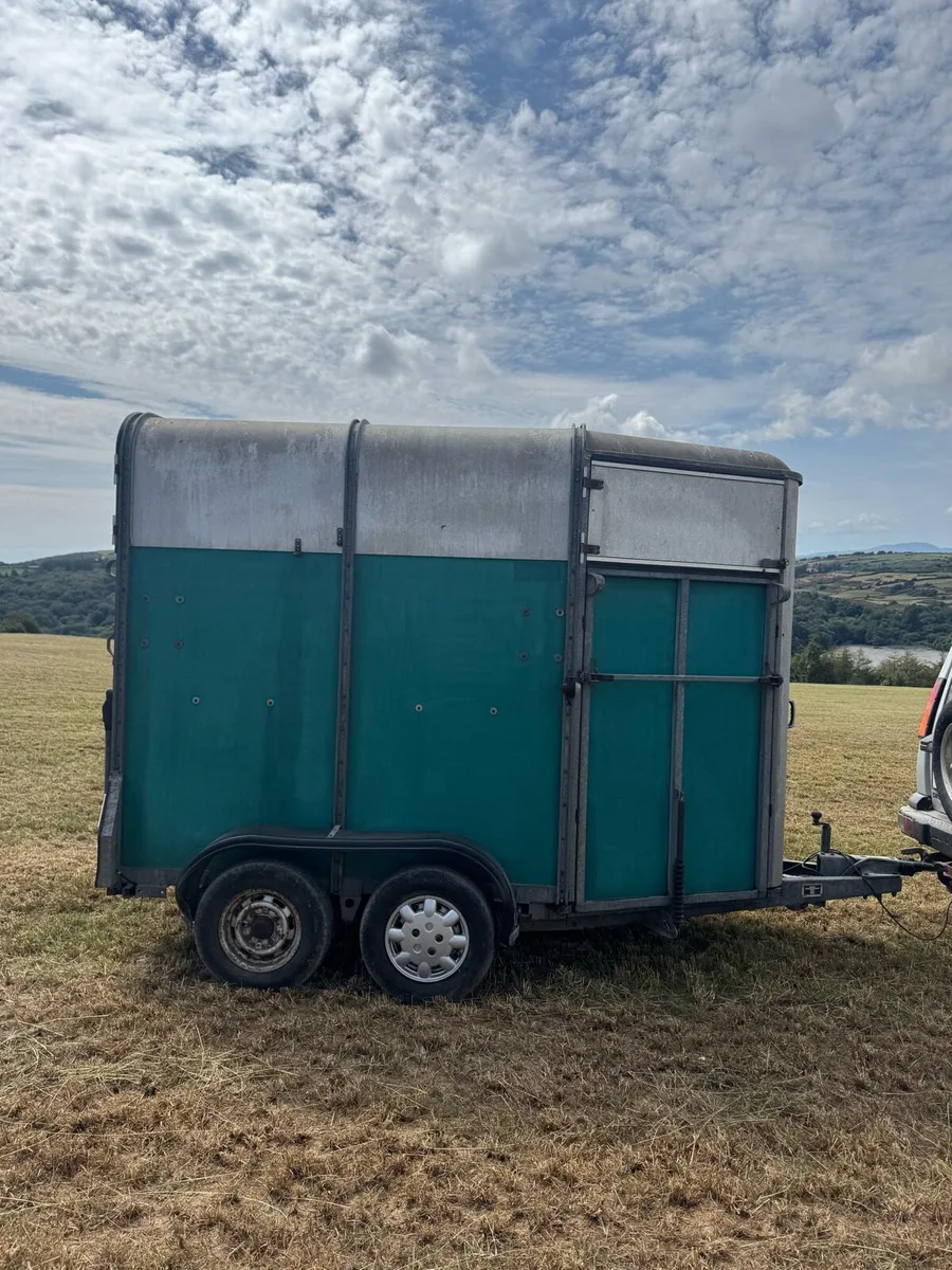 Ifor Williams 505 horsebox - Image 4