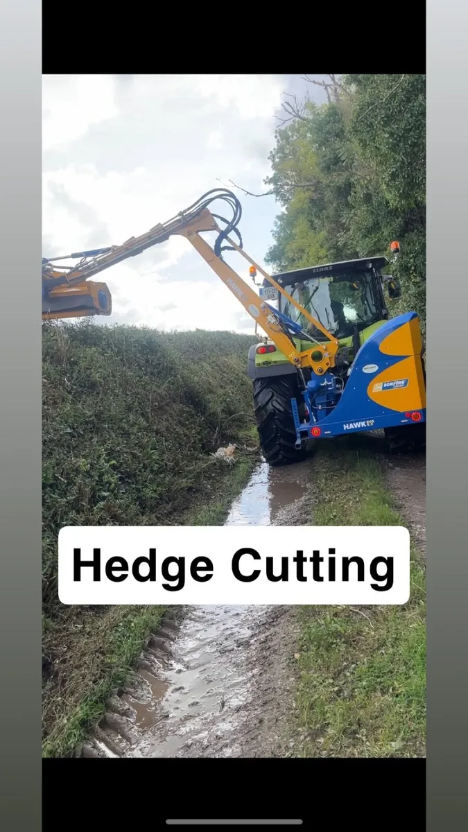 Hedge cutting Service - Image 1