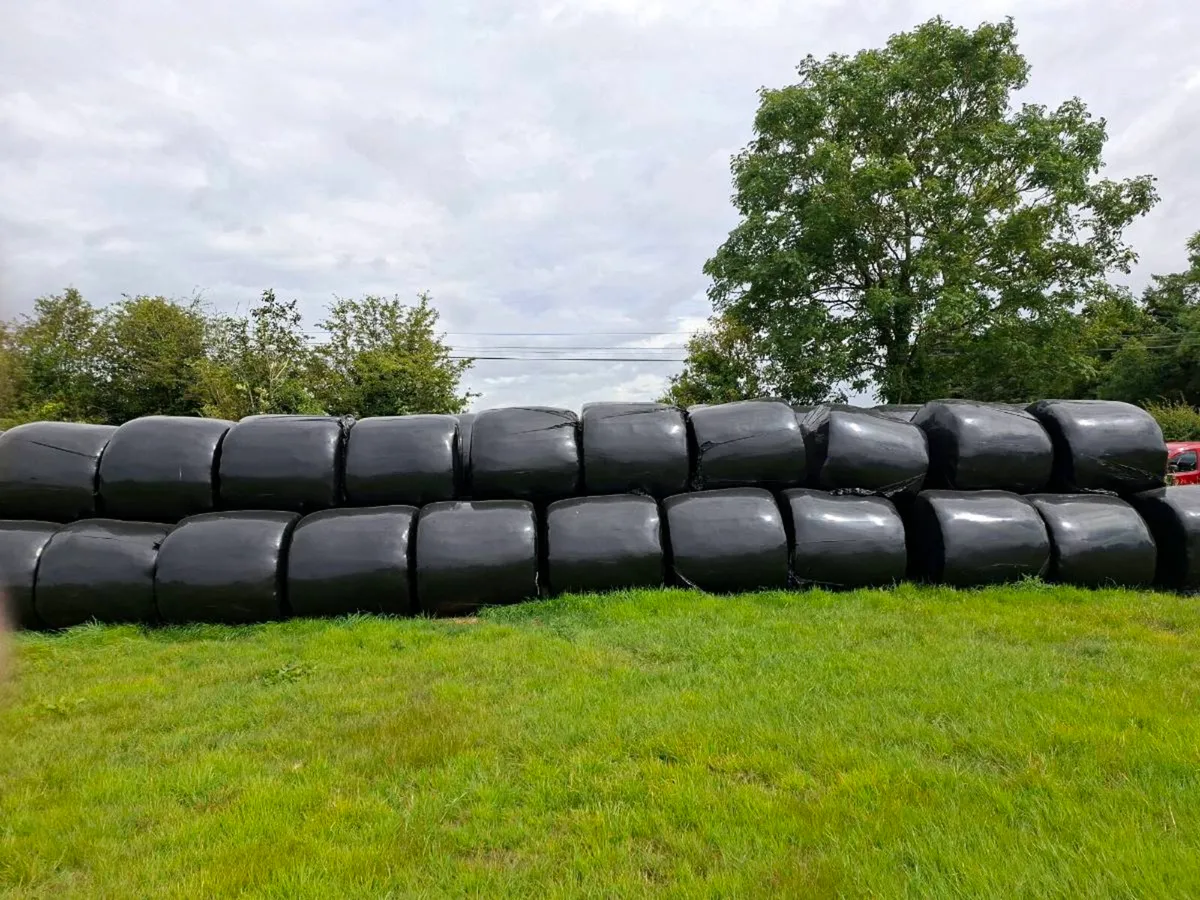 Silage bales - Image 1
