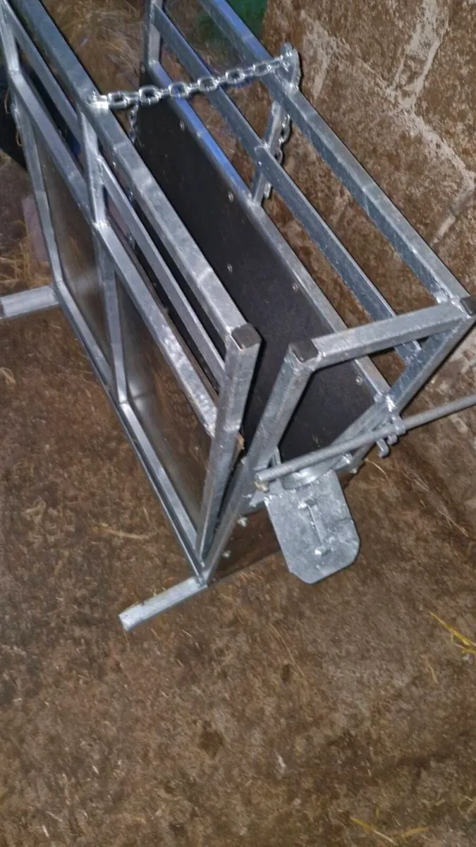 calf dehorning crate - Image 1