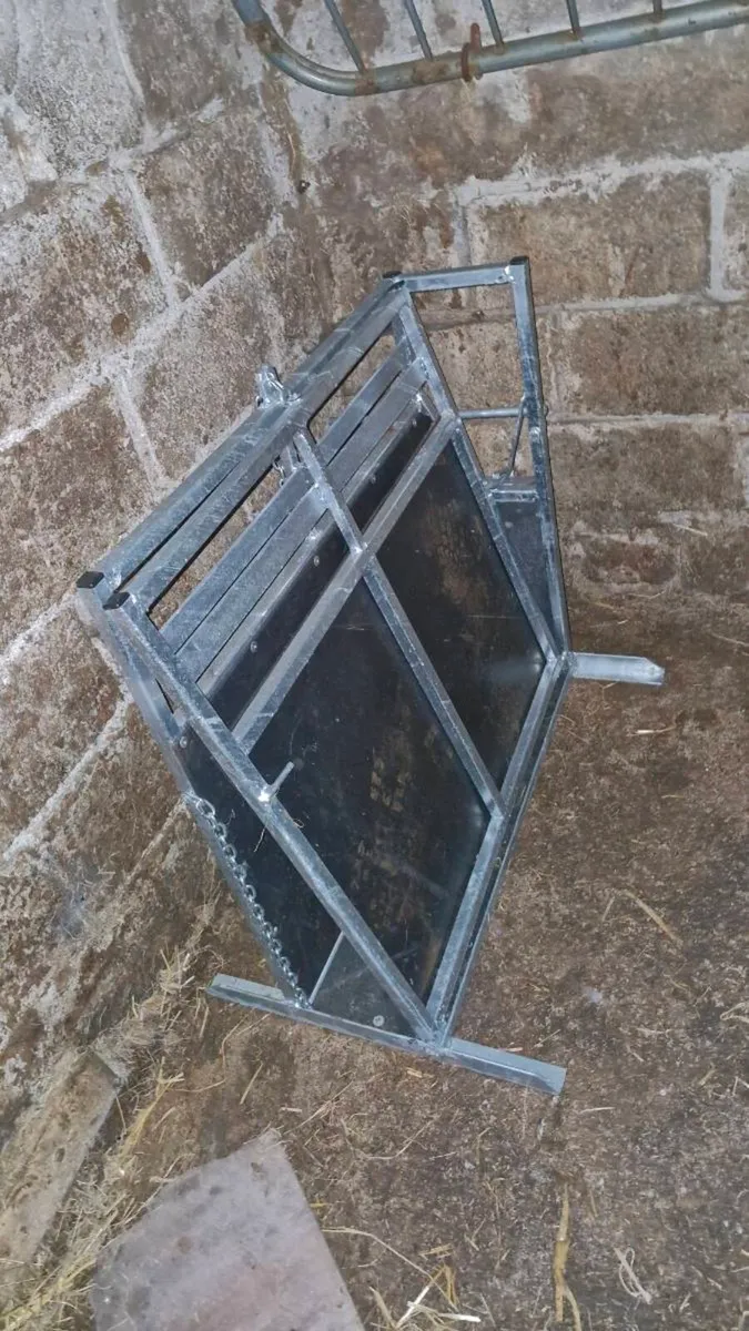 calf dehorning crate - Image 2