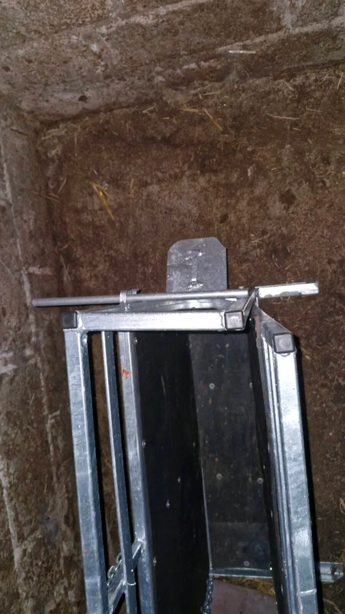 calf dehorning crate - Image 3