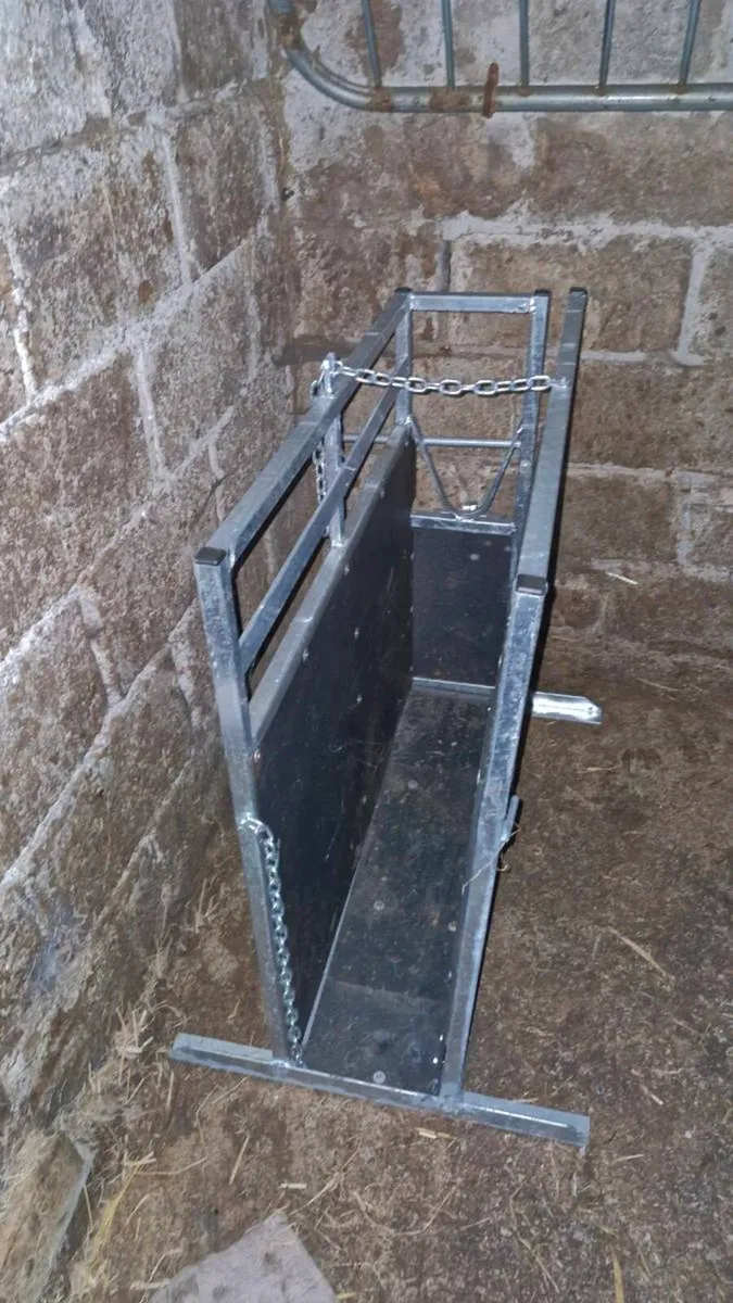 calf dehorning crate - Image 4