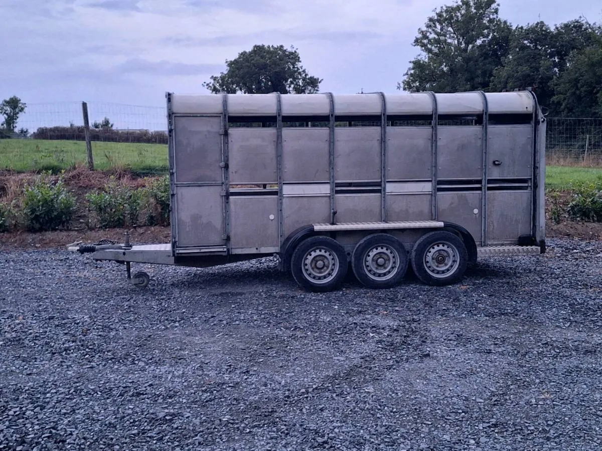 Ifor williams cattle trailer - Image 2