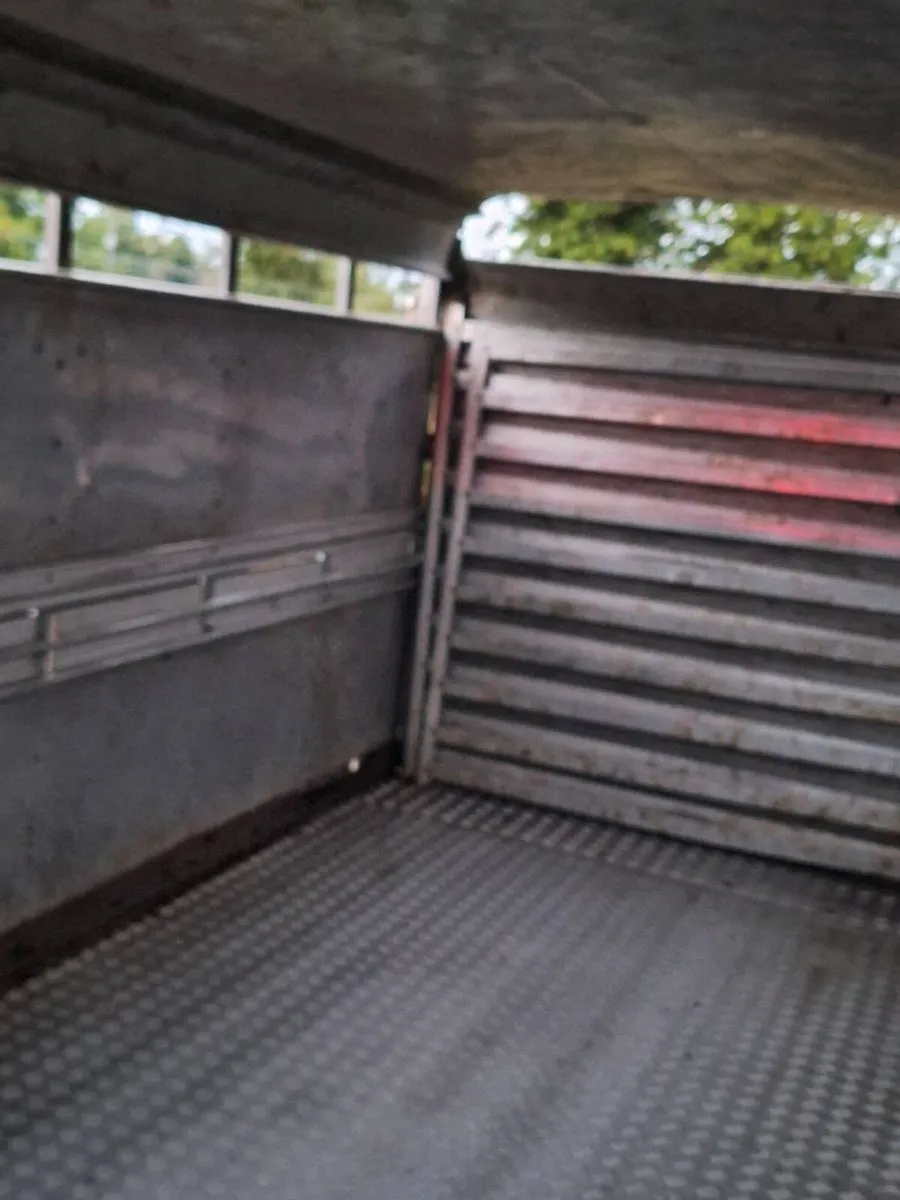 Ifor williams cattle trailer - Image 3