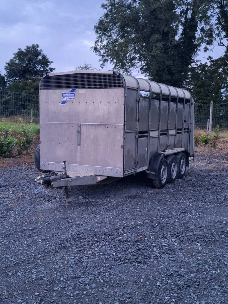 Ifor williams cattle trailer - Image 1