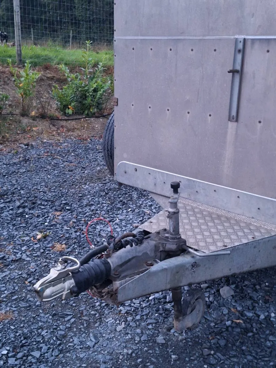 Ifor williams cattle trailer - Image 4