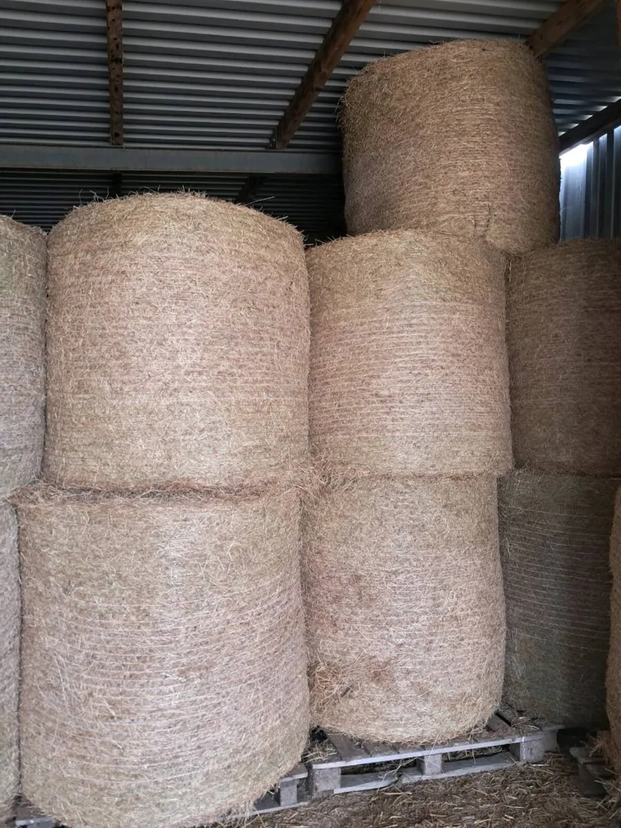 Round Bales Of Hay - Image 1