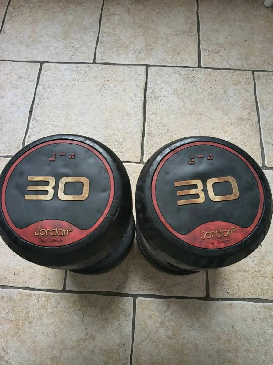 30kg Dumbbells - Image 1