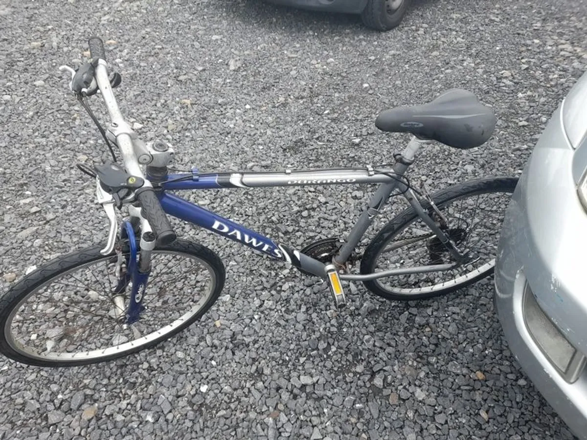 Mountain Bike Racer Adult - Image 1