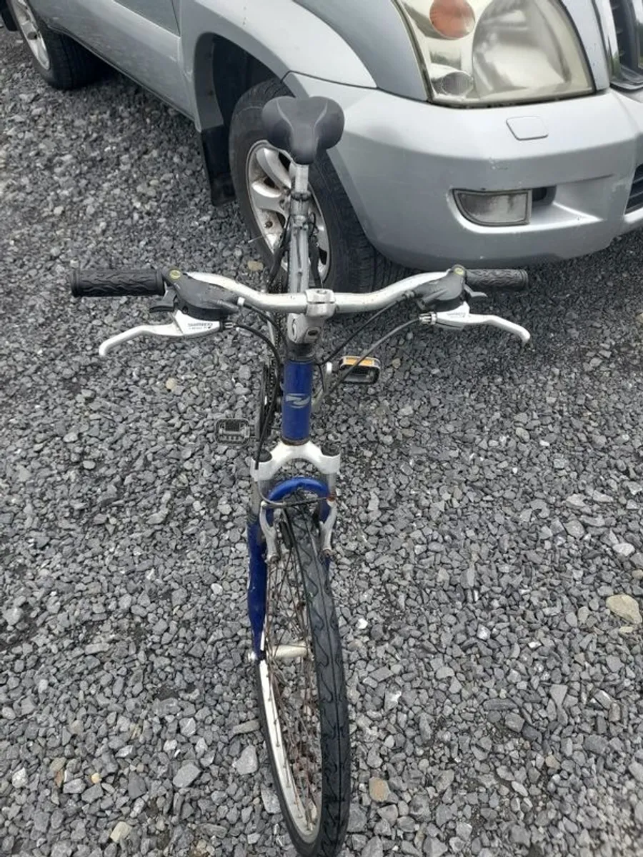 Mountain Bike Racer Adult - Image 3