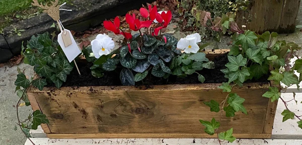 Wooden flower boxes - Image 1