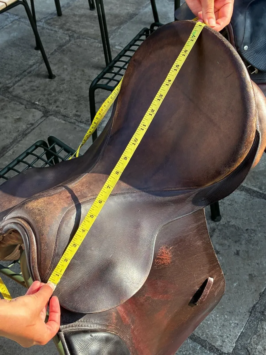 18" Saddle - Image 3