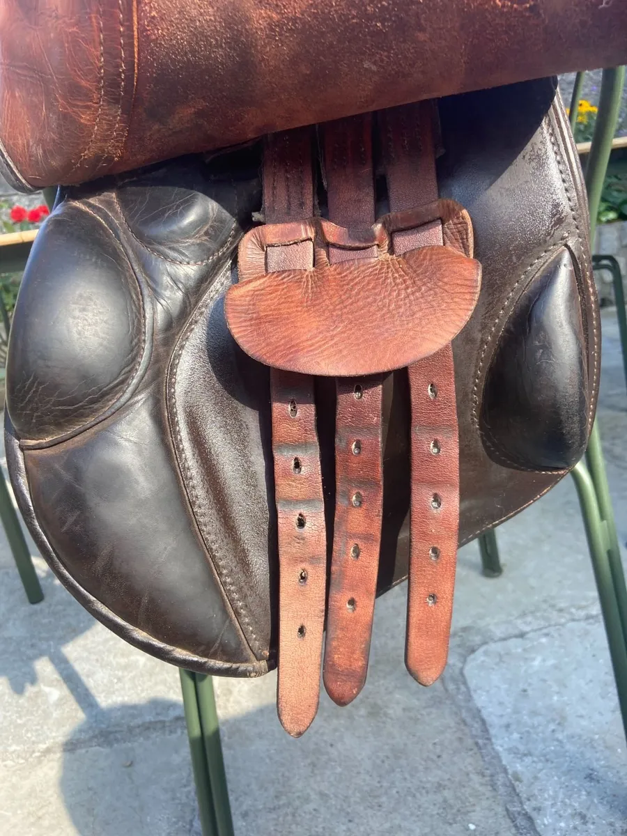 18" Saddle - Image 4