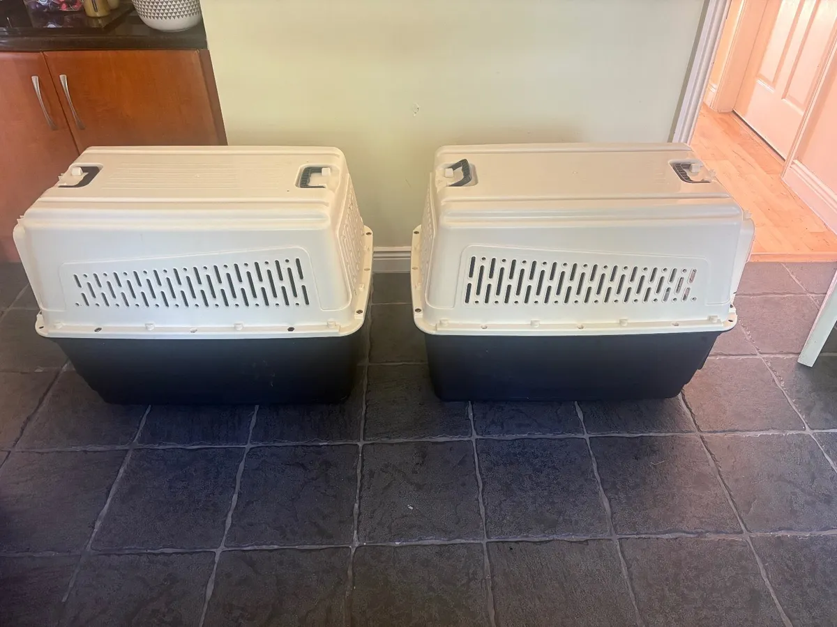 Professional Animal Boxes x 2 (Large) - Image 2