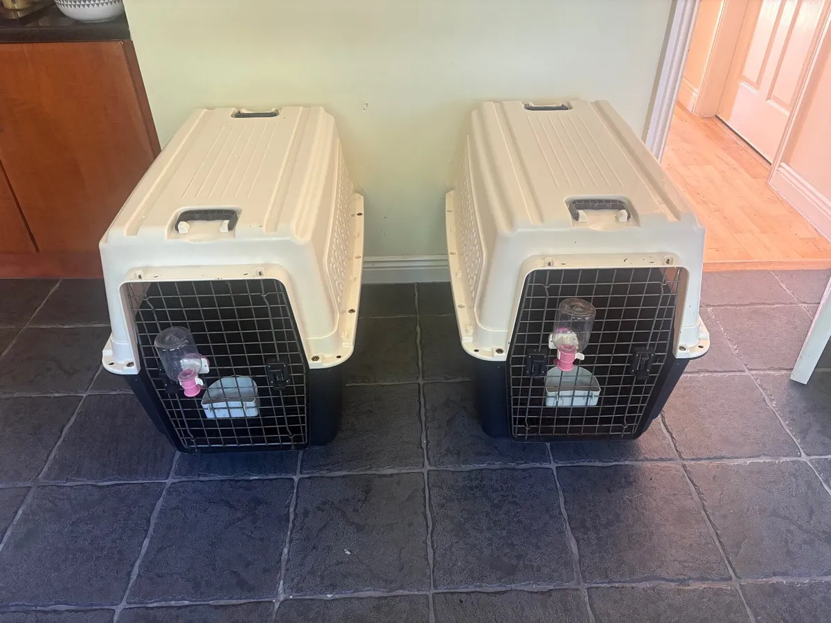 Professional Animal Boxes x 2 (Large) - Image 1