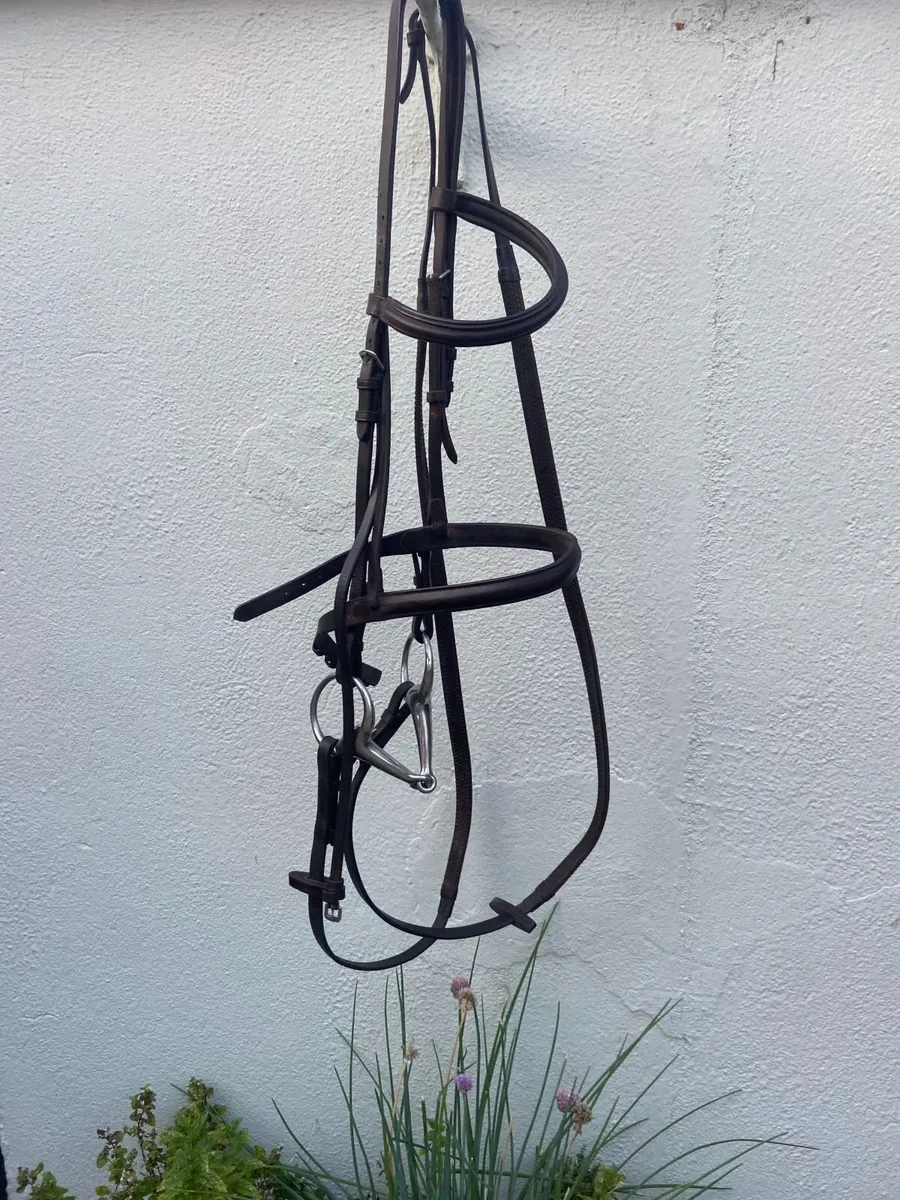 Full Size Black Bridle - Image 2