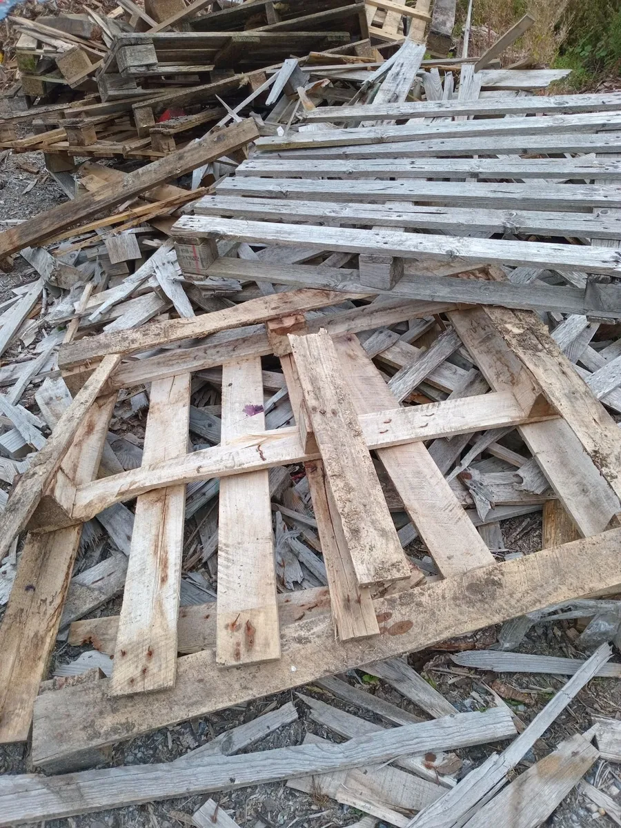 Pallets for Firewood - Image 1