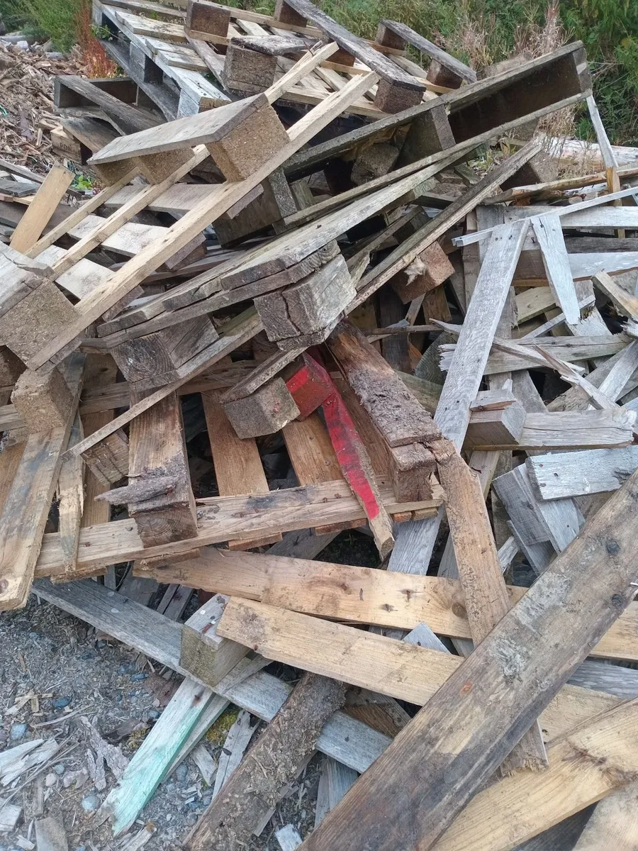 Pallets for Firewood - Image 2