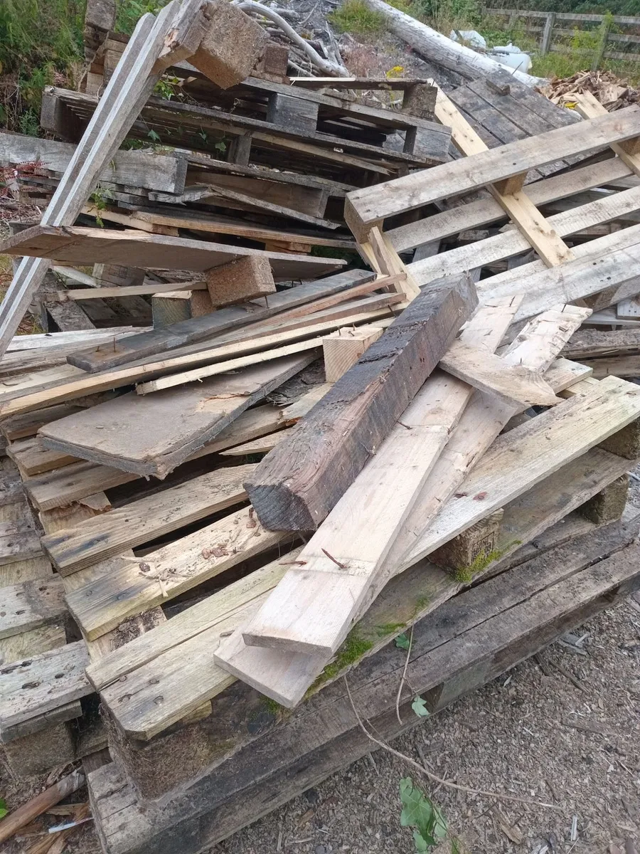 Pallets for Firewood - Image 3