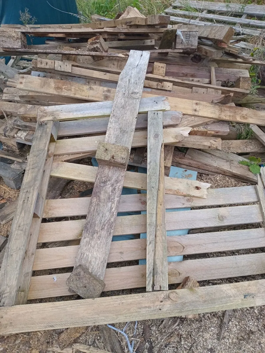 Pallets for Firewood - Image 4