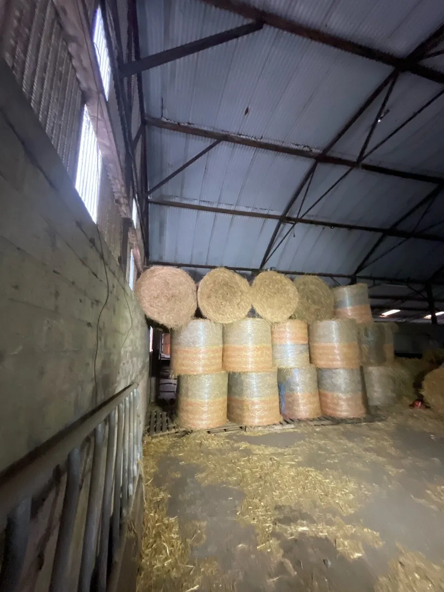 Hay bales - Image 1