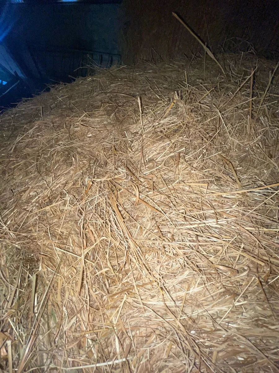 Hay bales - Image 2