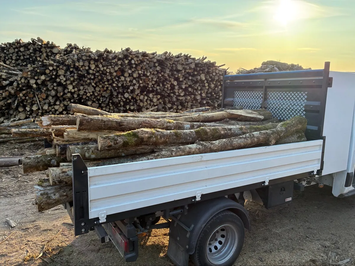 Firewood logs - Image 1